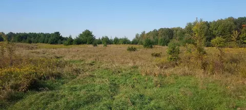 Nnn Lot 2 County Line Avenue, Black Brook Twp, WI 54007
