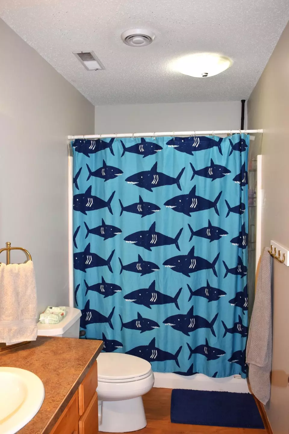 Bath - 913 Thomas Rd SW, Bemidji, MN 56601 photo 8 of 9
