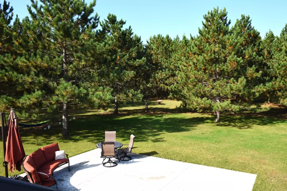 Exterior - 913 Thomas Rd SW, Bemidji, MN 56601 photo 2 of 10