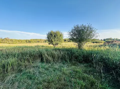 Other - 20904 65th Ave, Milaca, MN 56353 photo 6 of 7