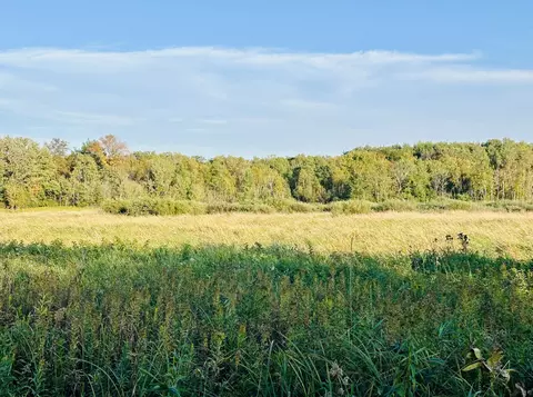Other - 20904 65th Ave, Milaca, MN 56353 photo 7 of 7