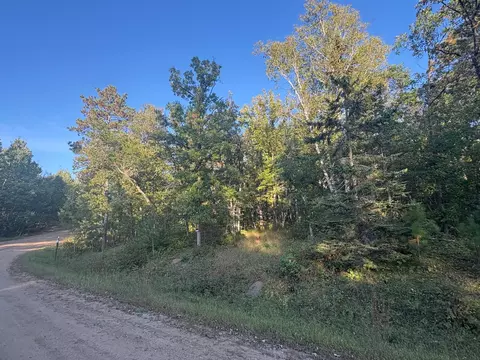 tbd Elm Trl, Nevis, MN 56467 photo 2