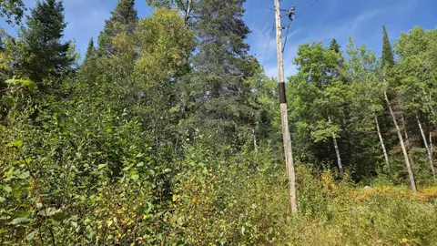 12012 Keyes Rd, Orr, MN 55771 photo 19