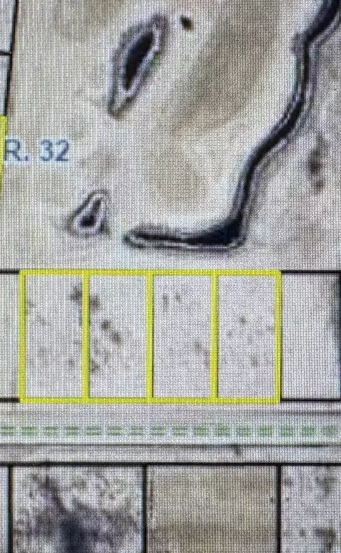 tbd 22nd St NW, Baudette, MN 56623