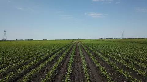 tbd T-182, Herman, MN 56248