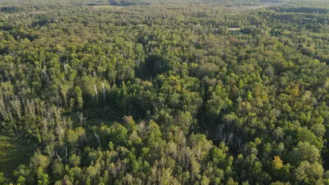 tbd Kestrel Ave, Mcgrath, MN 56350