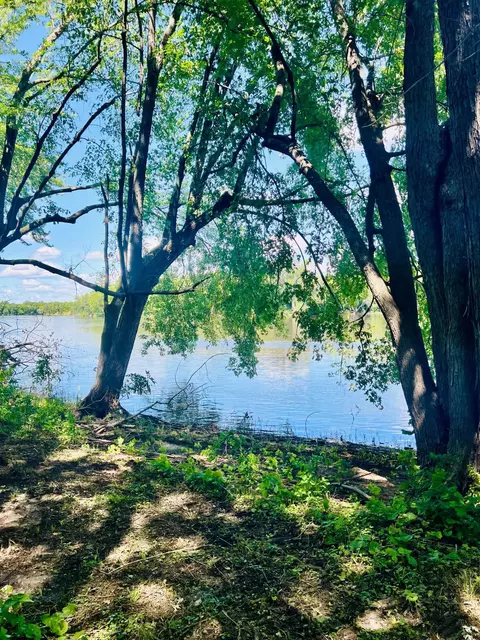 12620 Overlook Rd, Dayton, MN 55327