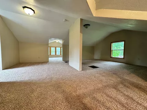 431 Douglas Ave E, Hector, MN 55342 photo 14
