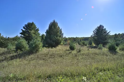 tbd Partridge Ct, Browerville, MN 56438