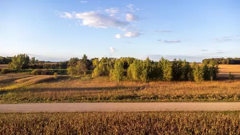 Nnn 225th Street, Litchfield, MN 55355