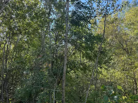 tbd 377th St, Perham, MN 56573 photo 8
