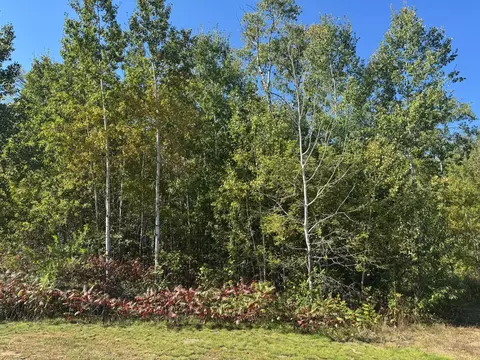 tbd 377th St, Perham, MN 56573 photo 7