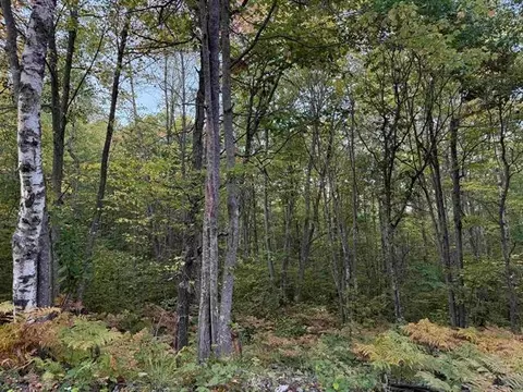 000 Old Hwy 2, Iron River, WI 54847