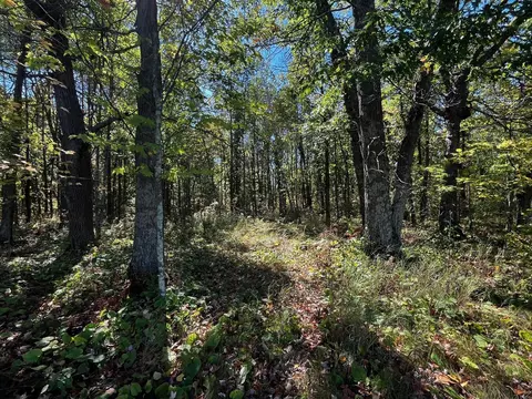 tbd County Road 2, Brainerd, MN 56401 photo 5