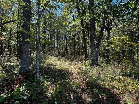 tbd County Road 2, Brainerd, MN 56401 photo 12