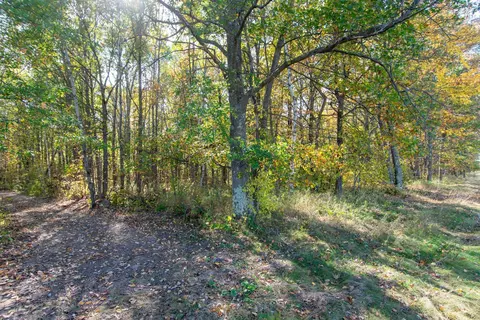 tbd County Road 2, Brainerd, MN 56401 photo 20