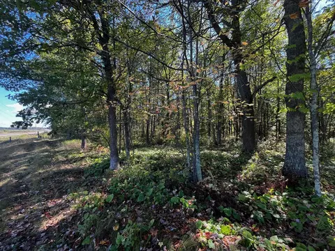 tbd County Road 2, Brainerd, MN 56401 photo 8