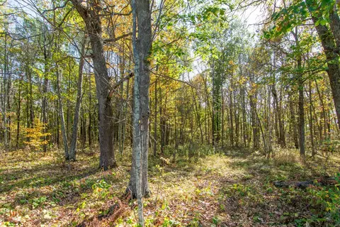 tbd County Road 2, Brainerd, MN 56401 photo 16