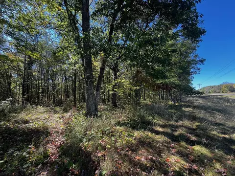 tbd County Road 2, Brainerd, MN 56401 photo 9