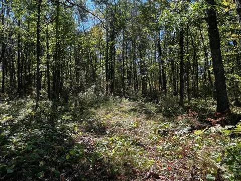 tbd County Road 2, Brainerd, MN 56401 photo 10