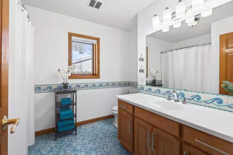Other - 55 Interlachen Dr, Tonka Bay, MN 55331 photo 31 of 101