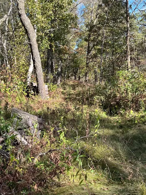 16515 Woodrow Rd, Brainerd, MN 56401 photo 18