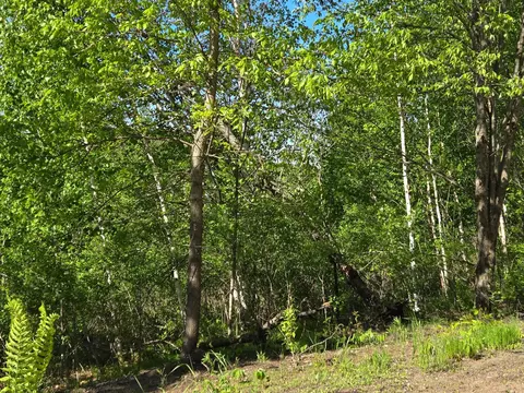 tbd 360th St, Onamia, MN 56359 photo 7