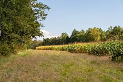 Other - 30968 State 200, Laporte, MN 56461 photo 5 of 24