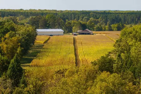 View/Area - 30968 State 200, Laporte, MN 56461 photo 5 of 11