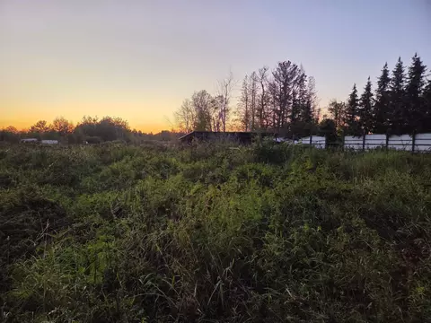 36101 Pincherry Rd, Cohasset, MN 55721