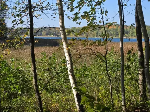 tbd Siskin Trl NW, Hackensack, MN 56452