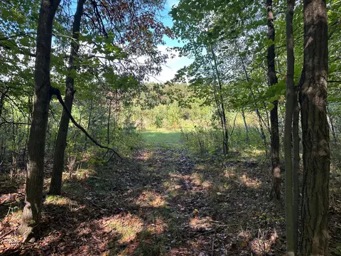 Nnn 424th Street, Harris, MN 55032