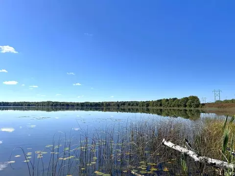 tbd State Hwy 87, Nevis, MN 56467 photo 4