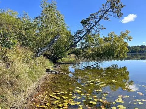 tbd State Hwy 87, Nevis, MN 56467 photo 3
