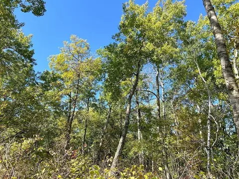 tbd State Hwy 87, Nevis, MN 56467 photo 5