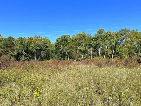 tbd State Hwy 87, Nevis, MN 56467 photo 6