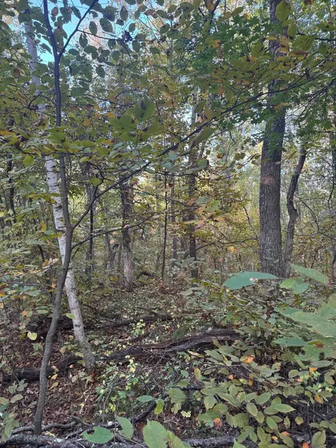 tbd Dell Marie Pl, Breezy Point, MN 56472