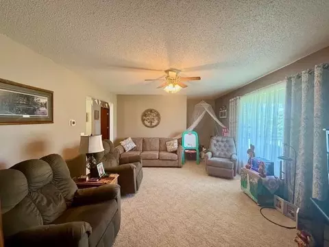 12818 County 10, Caledonia, MN 55921 photo 30