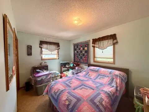12818 County 10, Caledonia, MN 55921 photo 40