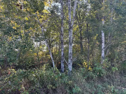 tbd State Hwy 210, Mcgregor, MN 55760 photo 3