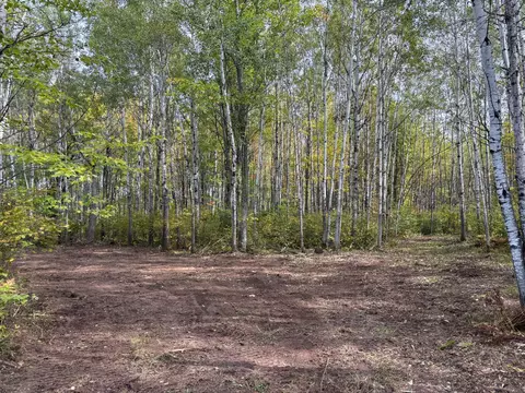 tbd 120th Pl, Tamarack, MN 55787 photo 8