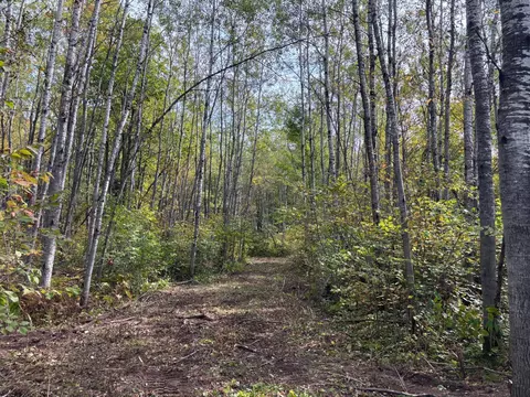tbd 120th Pl, Tamarack, MN 55787 photo 6