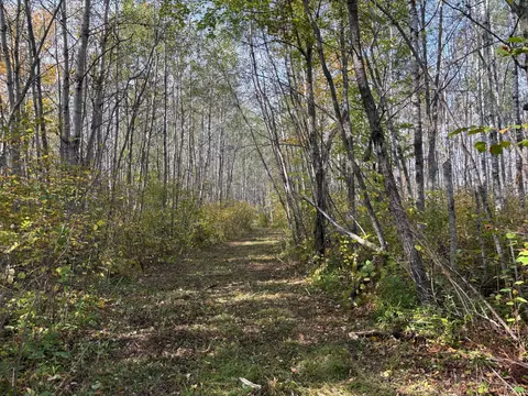 tbd 120th Pl, Tamarack, MN 55787 photo 2