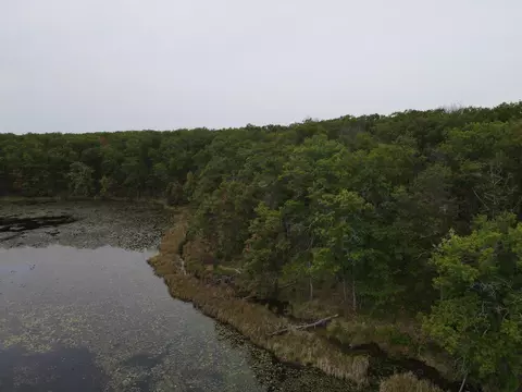 tbd Red Oak Dr, Garrison, MN 56450 photo 6