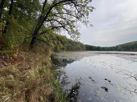 tbd Red Oak Dr, Garrison, MN 56450 photo 9