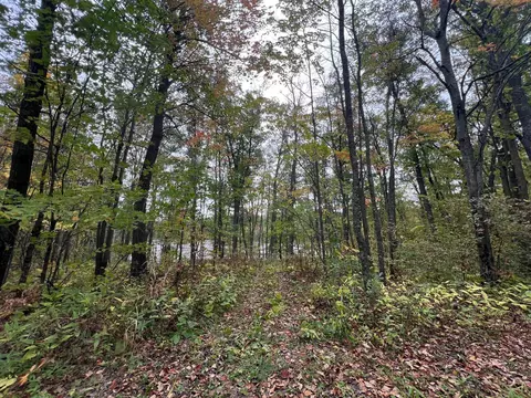 tbd Red Oak Dr, Garrison, MN 56450 photo 15