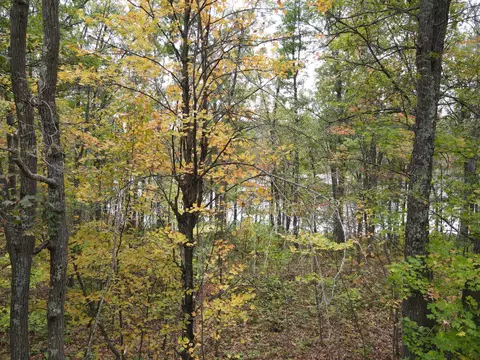 tbd Red Oak Dr, Garrison, MN 56450 photo 28