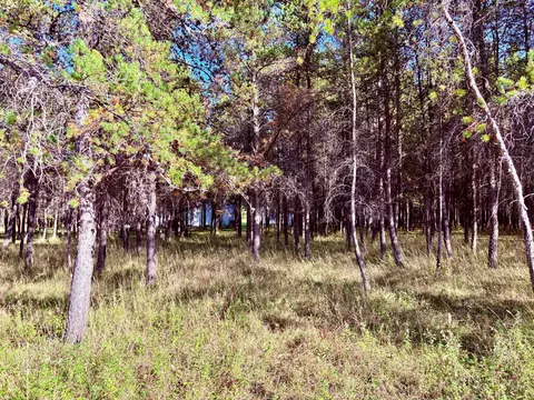 541 Wilderness Ave, Williams, MN 56686 photo 24
