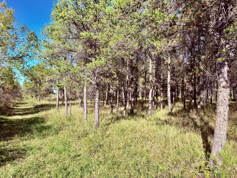 541 Wilderness Ave, Williams, MN 56686 photo 23