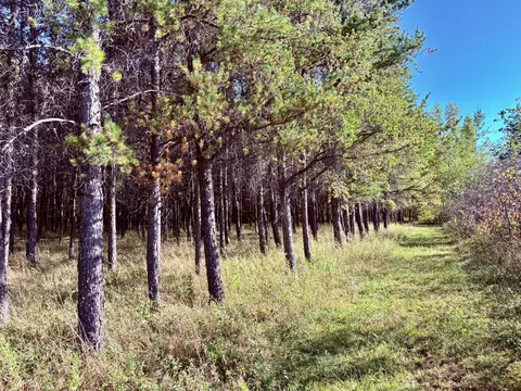 541 Wilderness Ave, Williams, MN 56686 photo 22